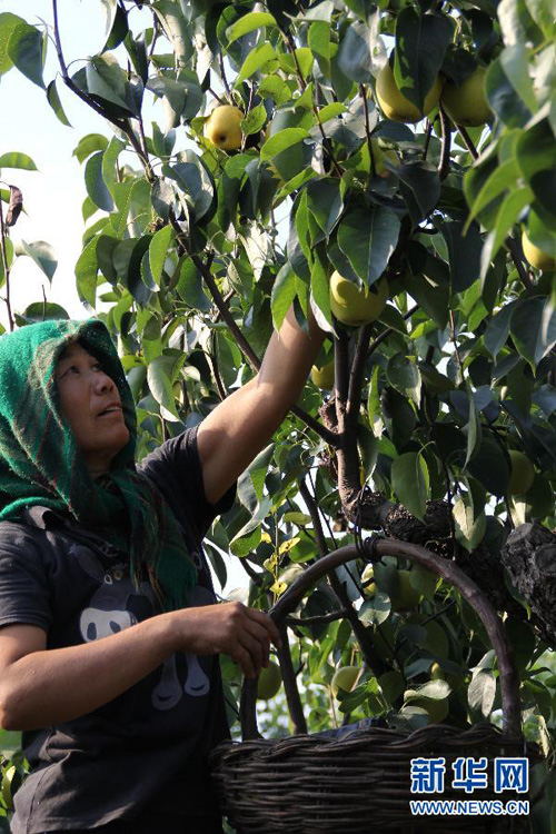 815գũںӱʡ󳧻۸Ͱ԰ڲժƹ档