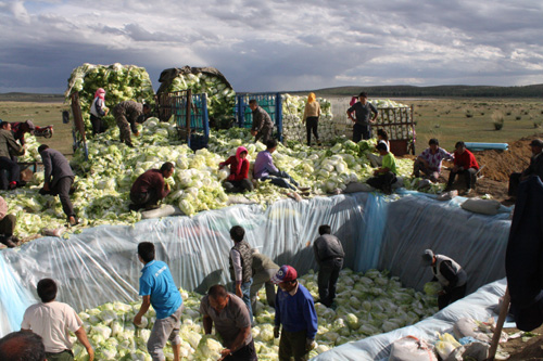 �ӱ������ض�뻺���߲ˡ����ѡ�����