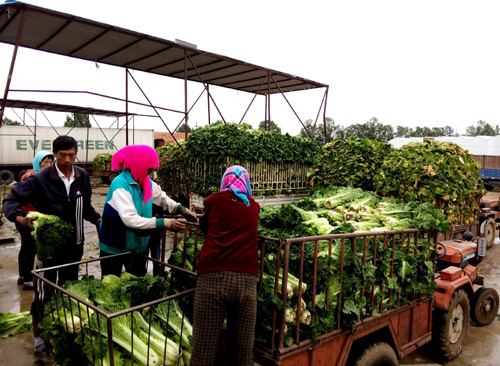 �ӱ������ض�뻺���߲ˡ����ѡ�����3