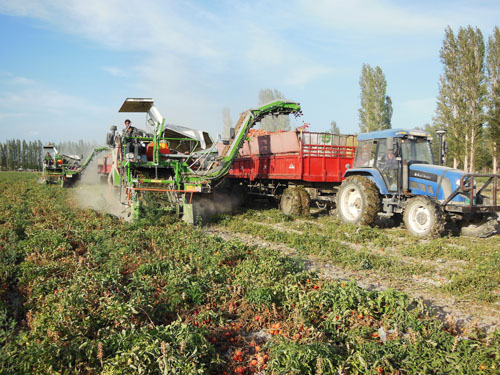 816գ̨Ѳջ½Oŵڶʦ21ʮְĳаշѣ˸Żеշѵս