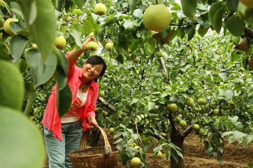 �����Ͻ���Ķ�����������