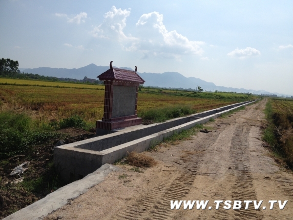 广东台山市汶村镇1.2万亩农田耕作条件得到改善