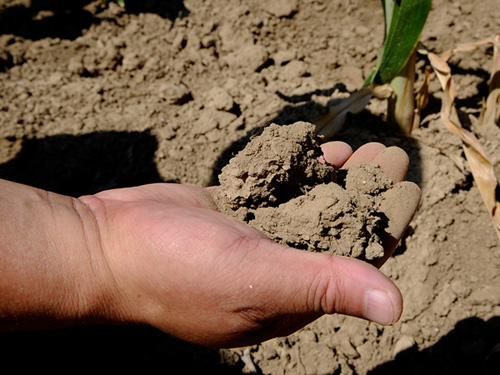 ���ɹų�岿�ֵ�����������