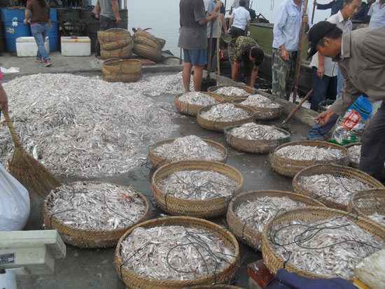 ���ճ����＾��Ѵ���� ��������ն���ķ�