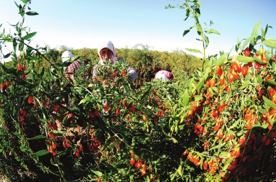 ���������������