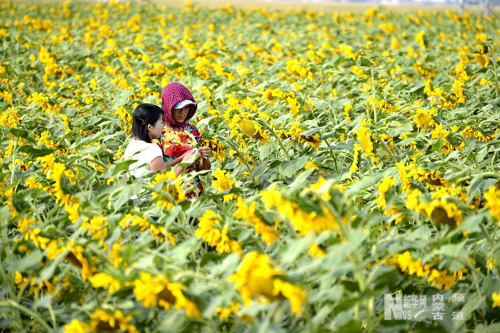 ���ɹ��������������Ķũ����ϵ�ϡ����մ���