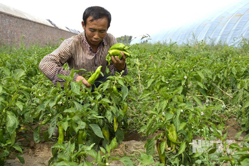 8��20�գ����ɹŰ����׶������������캣��ͼ���ũ��������������