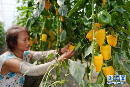 8��20�գ��ӱ������в�Ӫ�߲�רҵ�����繤����Ա�������ժ�ʽ���