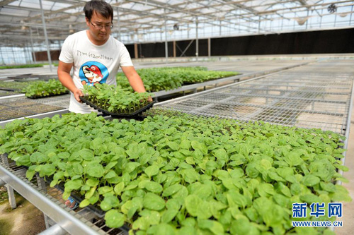 8��20�գ��ӱ������в�Ӫ�߲�רҵ�����繤����Ա���������鿴�߲��������������