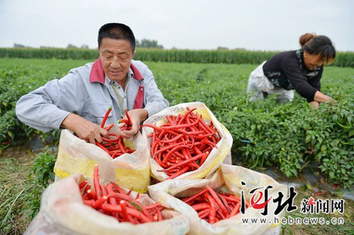 �ӱ������ظ����綫���Ӵ���������