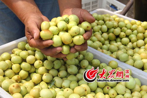 ɽ���������ϲ������ �ܲ�������ͻ��300�򹫽�