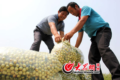 ��ؿ��̽��չ�������װ��