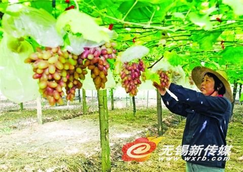 ���꽭�����������ۼ۵���ȵ� ����ֲ���äĿ����