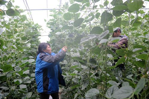 ش׿꣨󣩺͵жִʩũҵʾ԰аĴļ814㣩