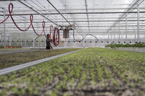 ԱϺԮտغӹִũҵʾ豸817㣩