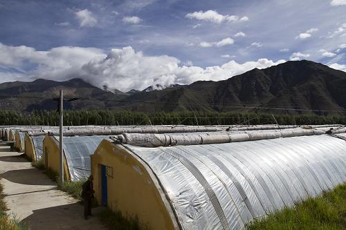 ǺʡԮտлͨظЧũҵʾ԰816㣩