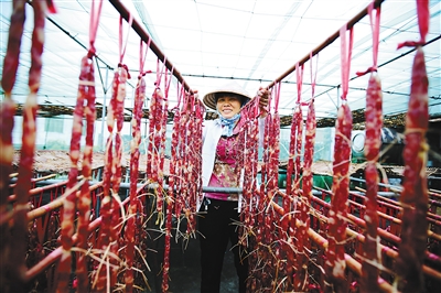 ���ϳ�������Ϫ���������ϡ���̯��