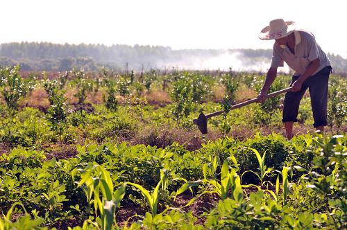 823գڹ˫ϴ壬һũũ