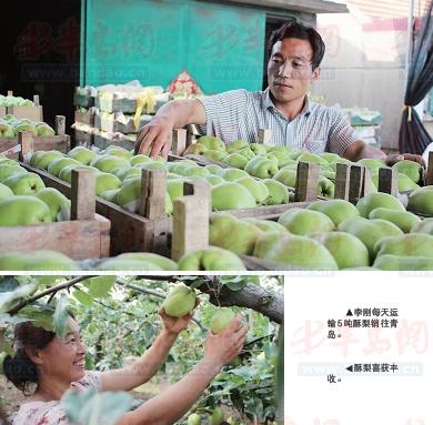 ɽǧĶ԰ժ 40Ķ뽫20