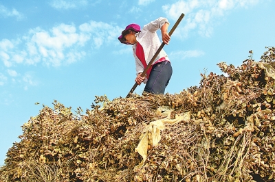 �����ڻ��ػ��������ջ���