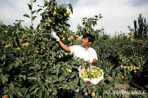 824գ½ŵڶʦʮŹũװ²ժ档