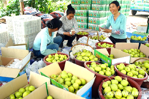 824գ½ŵڶʦʮŹũڰװ²ժ档