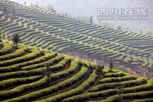 �Ĵ����ݴ����һ��һƷ���߻ũ·