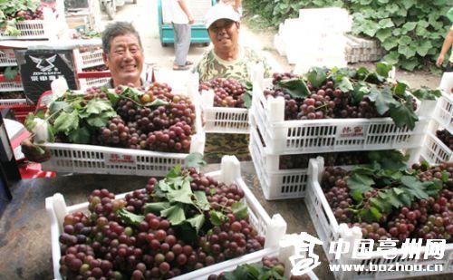 ���ջ�������������������