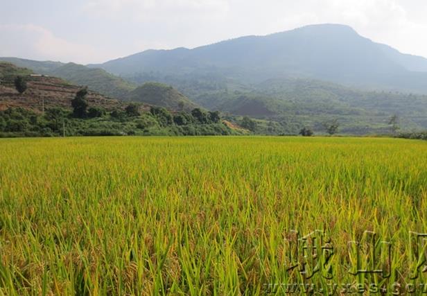 ϶ɽũվ֯ˮеո̶ֵ˽ոˮ