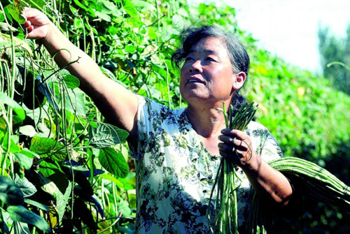 �ӱ��ȷ���������ɫ�����ǿ����¸���·