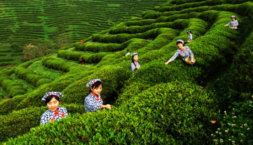 ���������Ρ��ߺ족