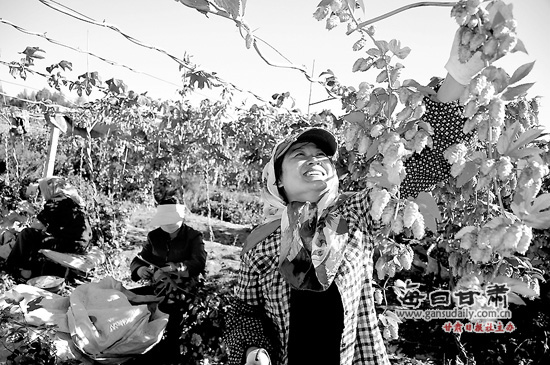 ����ʡ�����д�����չ��ɫ��ҵ