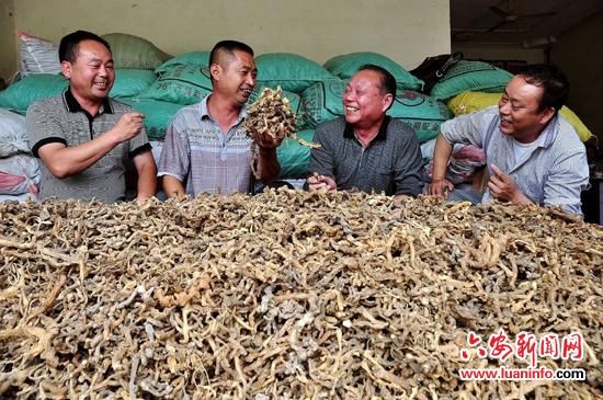 ���ս�կ�أ���ɽũ��Ϊ��ҩ�Ĺ�������һ��·