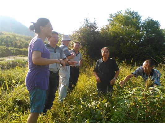 գʡũҵֲҵɳ鵽ʳ߲ľִĿ