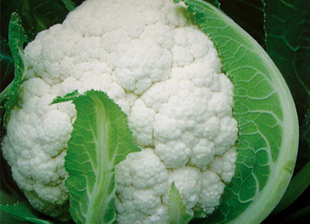 ӱشɫ߲˻ ϴ߲йӦ6