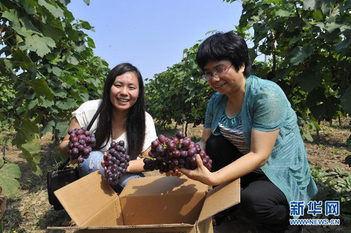 827գοںӱʡȷаͷӪġĺ԰ڲժĺڡѡ