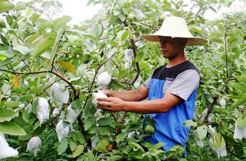 ������ɽ��¡������ϲ����ʯ�����ӭ��ǧ��