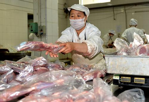 内蒙古自治区锡林郭勒盟西乌珠穆沁旗沁绿肉类食品有限责任公司的工人在分割包装羊肉(6月27日摄)