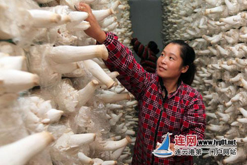 �������Ƹ��и�����������չʳ�þ���ҵ