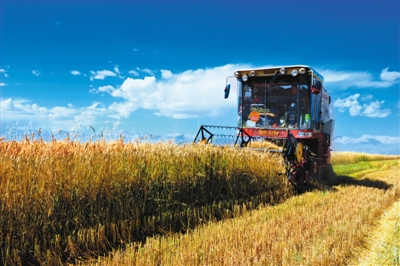 �ຣ��������غ����ո����������ո�С��