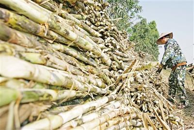 ������������ե������� ���ϡ�������ҵ��Ե����ô��