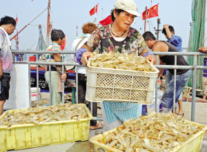 򣺲忪ض ƤƤϺÿ10Ԫ