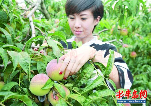 ɽ���ൺ����������¶�ۡ����������ζ������ ����ǰ���������