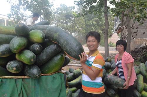 �����������۳����ŵ����޹�������ϲ�����