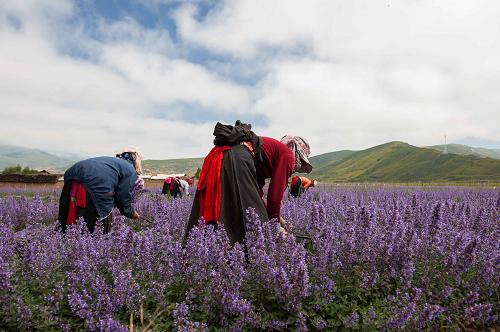 �Ĵ������ش�����ԭ޹�²�ŭ��