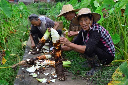 �Ĵ����ݸ�������ͷ���ÿ�Ⱥ���¸���