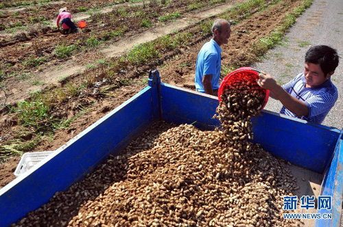 93գɽʡĳƽؼկ¥ũջĻװ