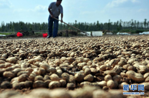 93գɽʡĳƽؼկ¥ũɹ