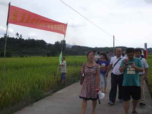 湖南辰溪县召开中稻高产创建现场观摩会