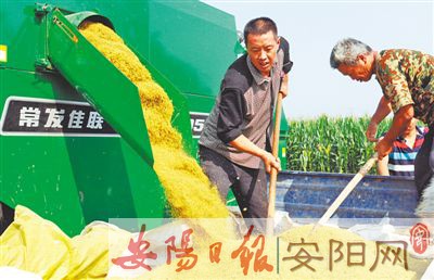 ���ϰ������ֹȲ�ҵ�� �Ƽ�������